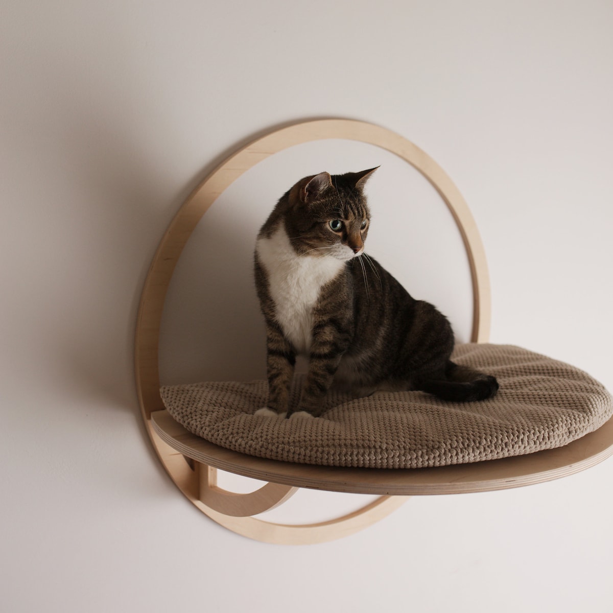 Cat Shelf - Etsy