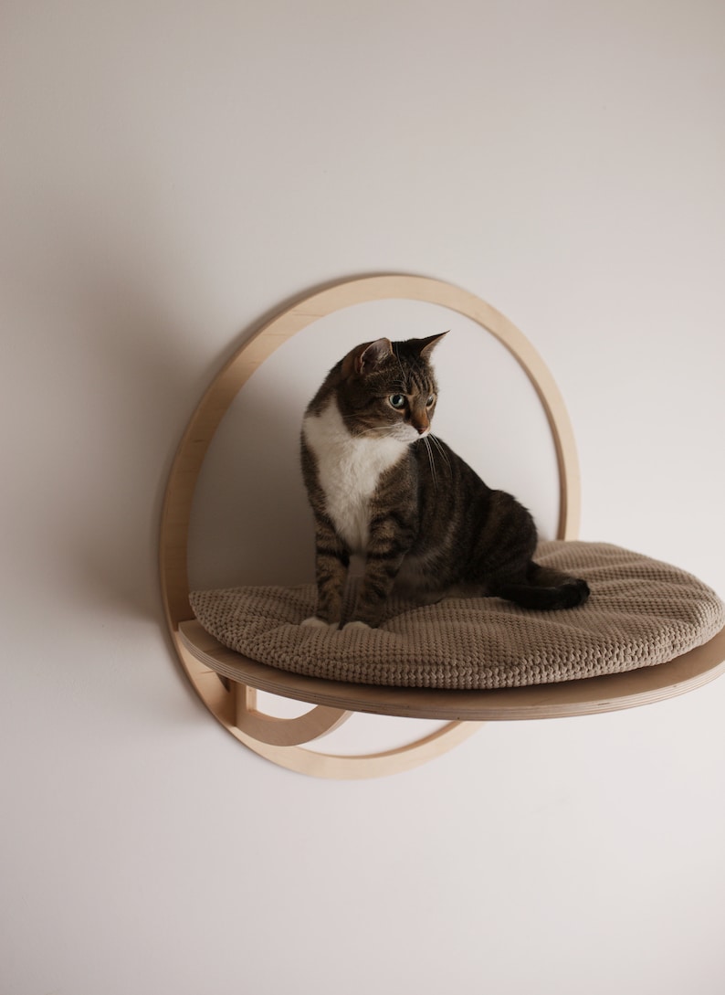 Bubble Shelf XL / Wall Mounted / Cat Shelves / Cat Climbing Etsy