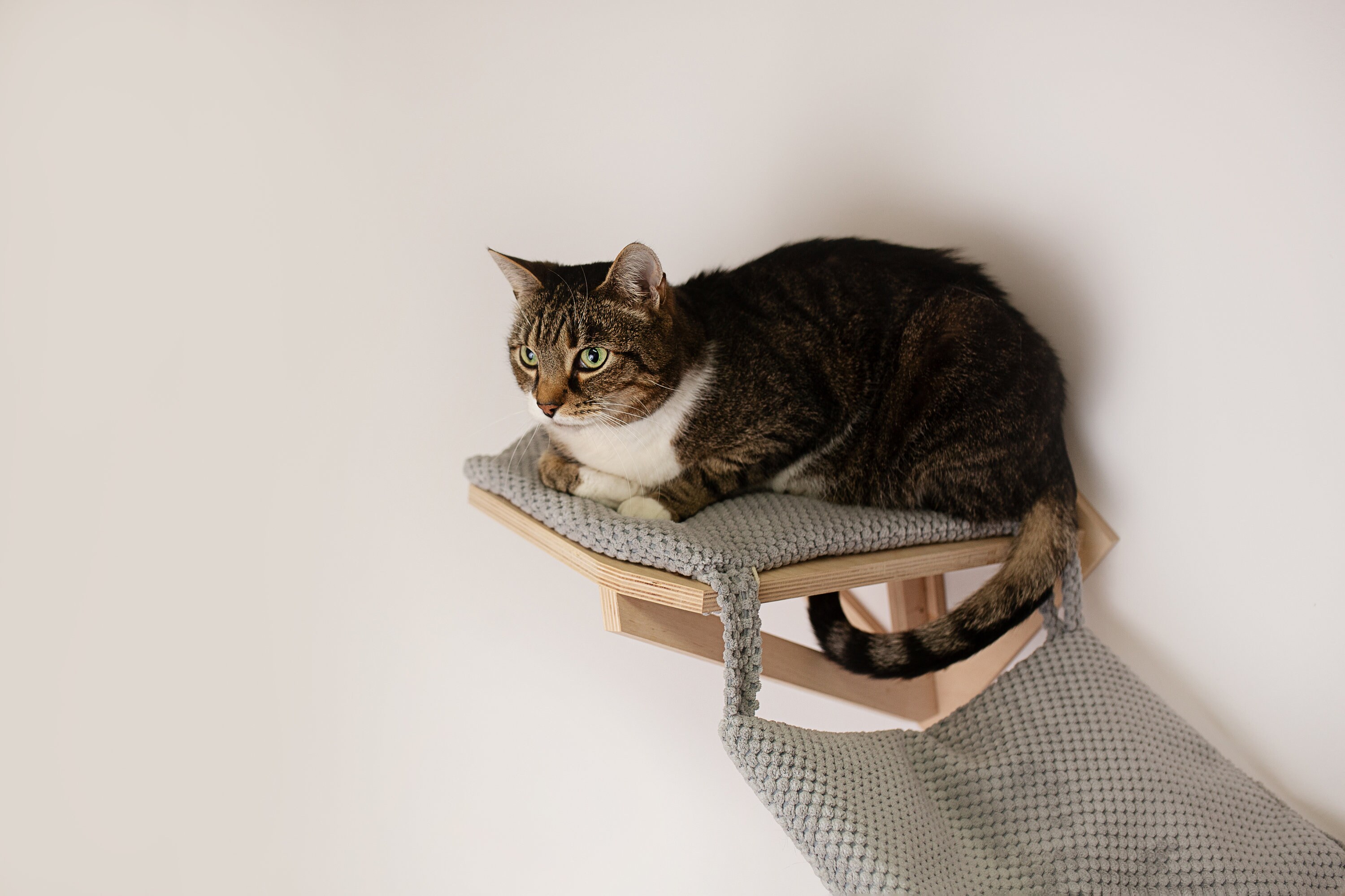 Hamac Neko Pour Chats Mural Etageres Pour Chats Mur Etsy France