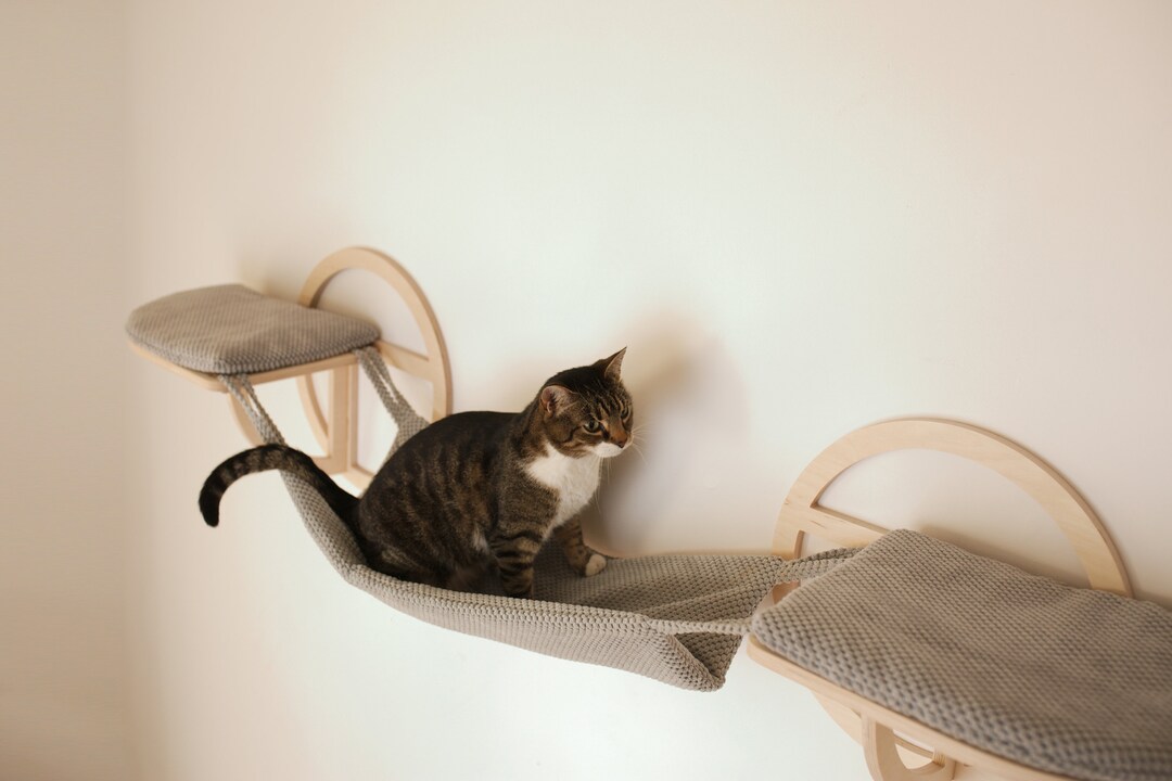 Aazon.co : Cat Haock Wall Shelves, Odern Furniture Oon Bed With