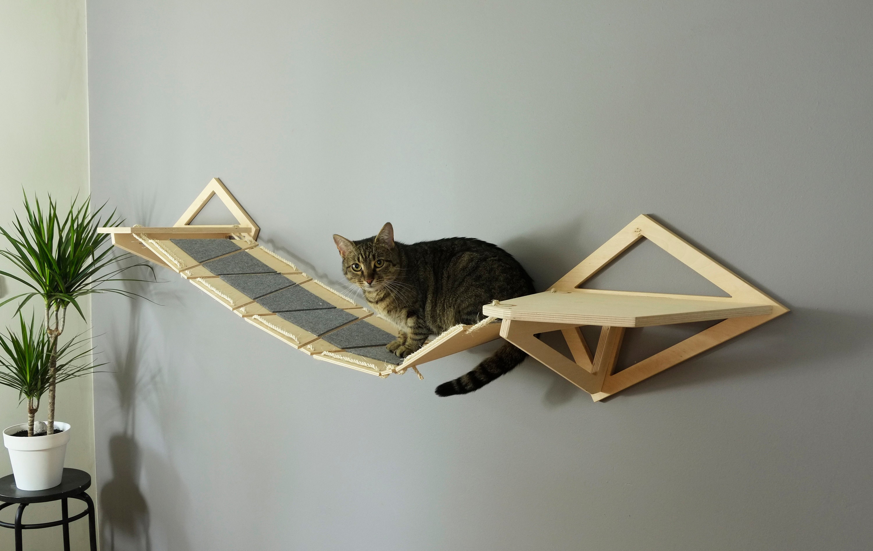 NEKO Set 4 für Katzen / Wand montiert / Katze Regale / Katze Etsy