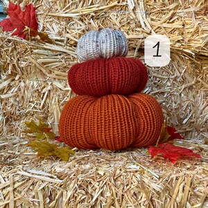 Calabazas de otoño / Decoración de bandeja escalonada de otoño con especias de calabaza / Decoraciones rústicas de granja