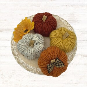 Fall Pumpkins / Autumn Tiered Tray Decor / Rustic Farmhouse Decorations
