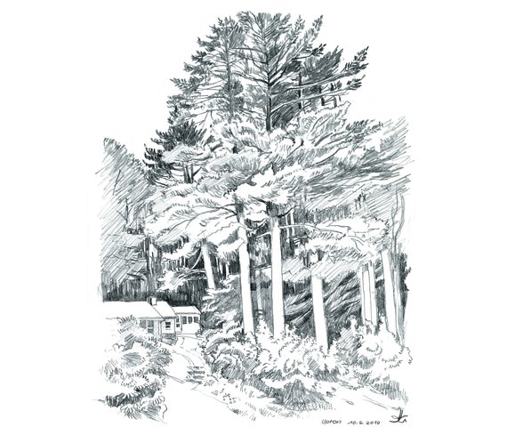 Do Lasu Szkic Czarno Biały Rysunek Ołówkiem Krajobraz Druk Sztuki Oryginalnego Szkicu Ręcznie Rysowane Dekoracji Domu Forrest Sosna