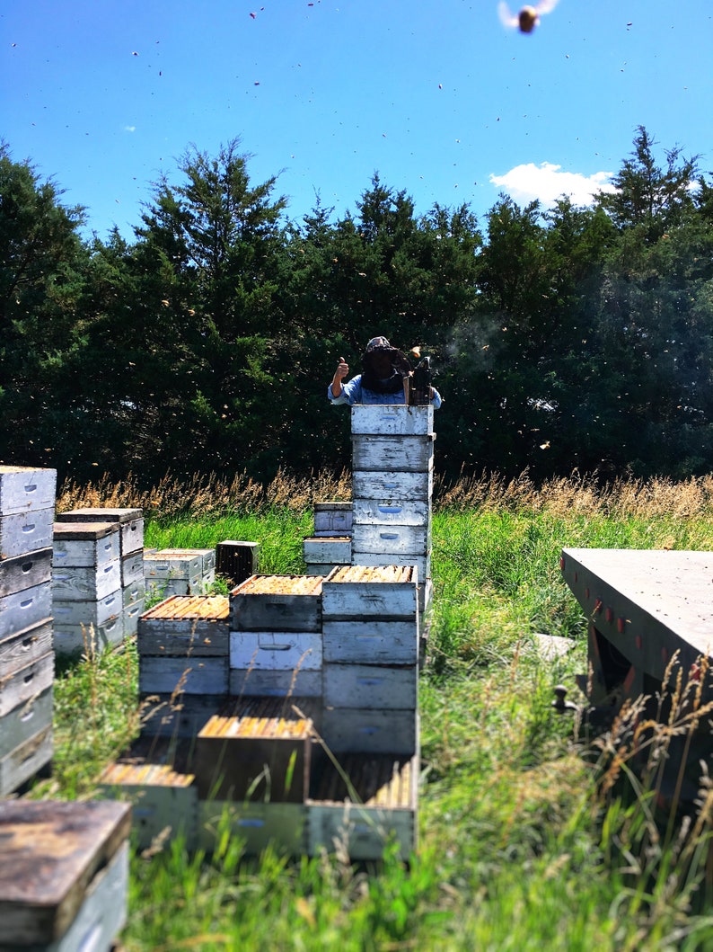 May include: A beekeeper in a protective suit stands on a stack of wooden beehives, surrounded by a swarm of bees in a field.