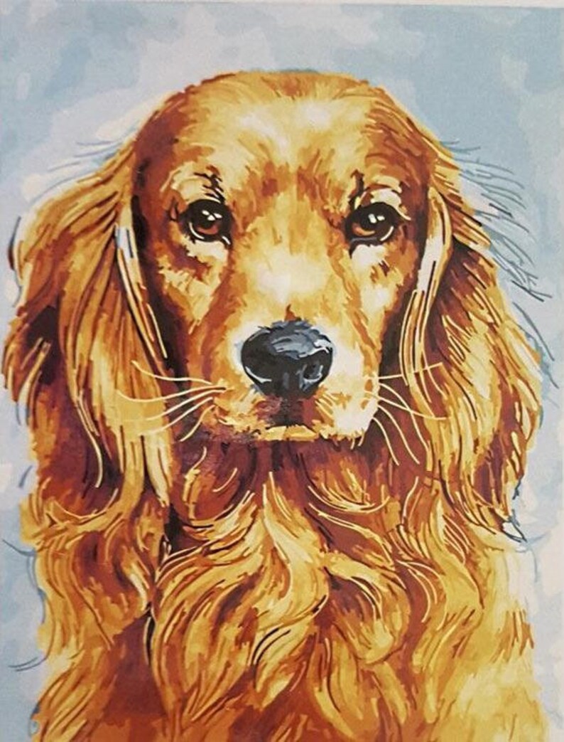 Paint by Number Custom Pet Paint by Number Kit Adult Paint Etsy