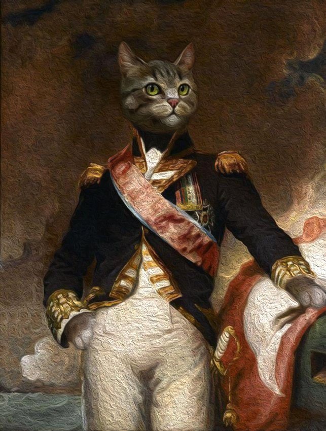Royal cat deals