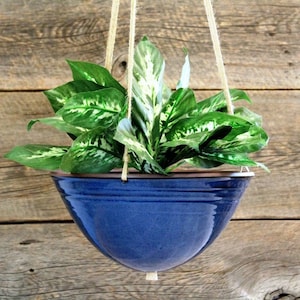 May include: A blue ceramic hanging planter with a green plant inside. The planter is suspended from the ceiling with twine.