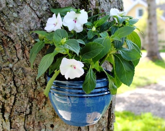 May include: A blue ceramic planter with white flowers hanging on a tree trunk.