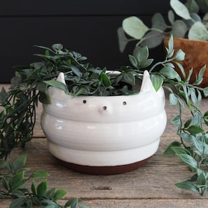 May include: A white ceramic planter with a rounded, ribbed body and two small pointed ears at the top rim. The planter features three small dark dots forming a simple face and contains a trailing green plant with small, pointed leaves.