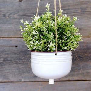 May include: A white ceramic hanging planter with a brown rim, filled with green and white leafy plants, hanging from a brown twine cord.