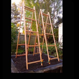 48 Inch Vegetable Trellis-Twin Pack