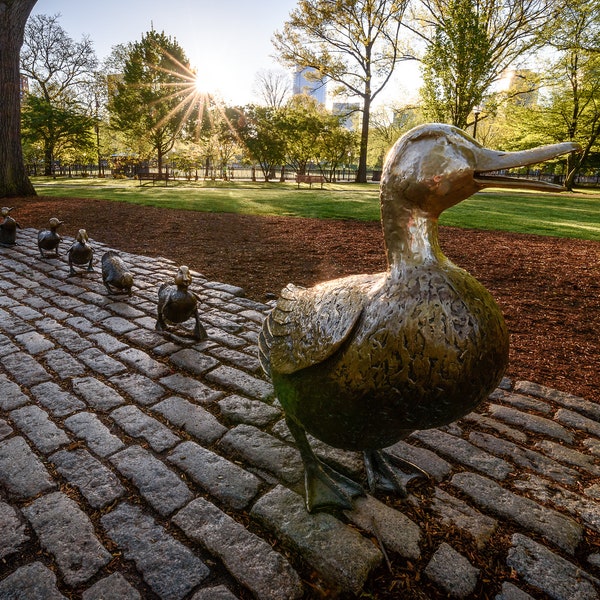 Make Way Ducklings - Etsy