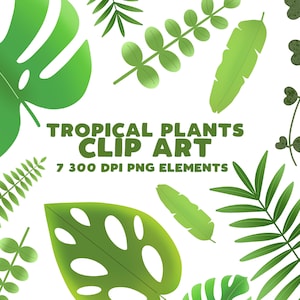 Zimmerpflanze Clipart Set: Tropische Pflanzengrafik (7 transparente PNG) (Instant Download)