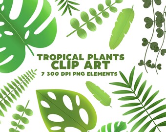Houseplants Clipart Set, Plant Graphics, Plant Leaves Art, Monstera, Fern, String of Hearts, Instant Download - 7 Transparent PNG