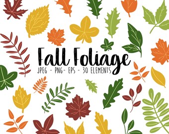 Fall Foliage Clip Art Set, Autumn Leaves Graphics, Fall Trees Clip Art, Digital Planner Stickers, Instant Download - Red, Orange, Yellow