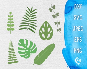 Foglie di piante tropicali SVG: file di ritaglio di piante da appartamento, stencil (download immediato)