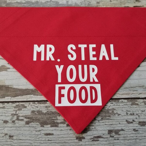 Funny Dog Bandana, Mr. or Miss Steal Your Food, Over the collar bandana, slide on bandana, Cat bandana, multiple colors