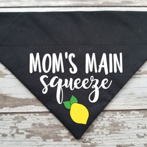 Mom's Main Squeeze Dog Bandana, Slide On Over the collar bandana, Cat bandana, lemon