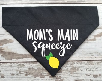 Mom's Main Squeeze Dog Bandana, Slide On Over the collar bandana, Cat bandana, lemon