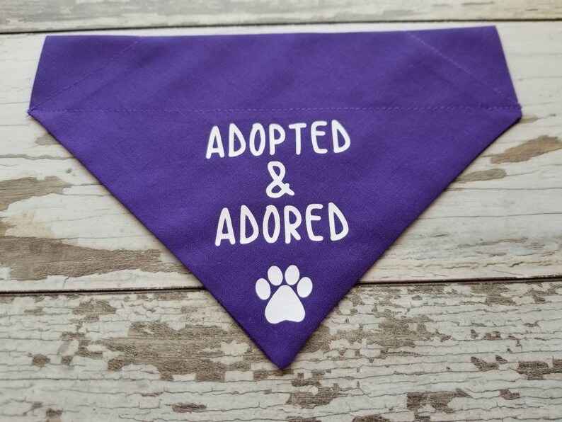 May include: Purple dog bandana with white text that reads "Adopted & Adored" and a white paw print.