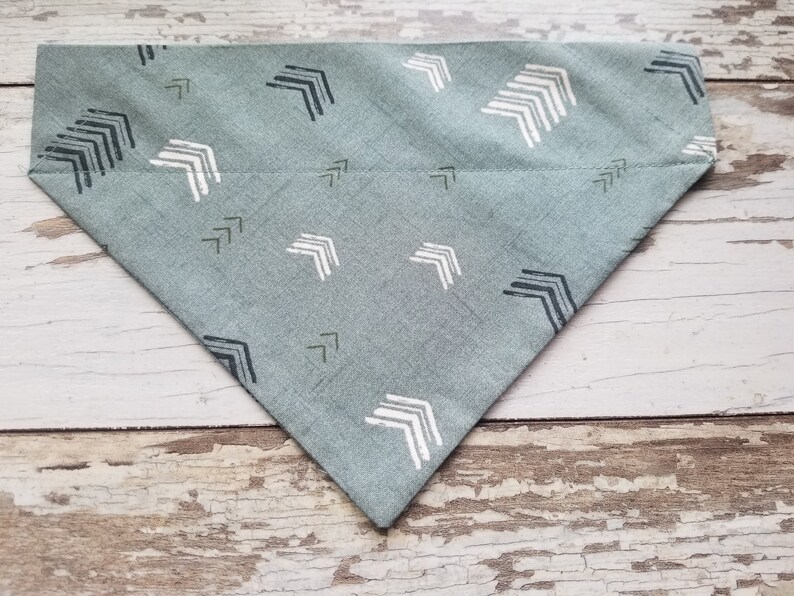 Personalized Sage Green Dog Bandana Over the Collar Cat Etsy