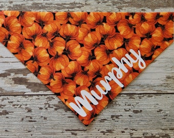 Personalized Pumpkin Patch Dog Bandana - Over the Collar Pet Scarf
