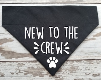 New to the Crew Dog Bandana, Slides on Over the collar bandana, slide on bandana, Cat bandana, adoption