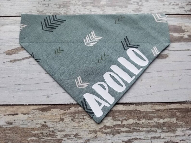 Personalized Sage Green Dog Bandana Over the Collar Cat Etsy