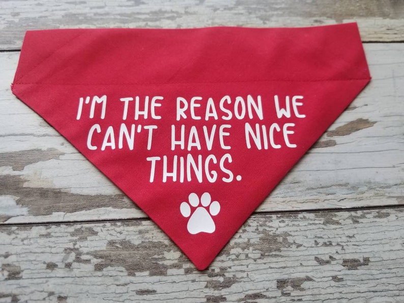Funny Dog Bandana I'm The Reason We Can't Have Nice Etsy.de