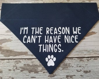 I'm The Reason We Can't Have Nice Things, Funny Dog Bandana, Slides On Over the Collar