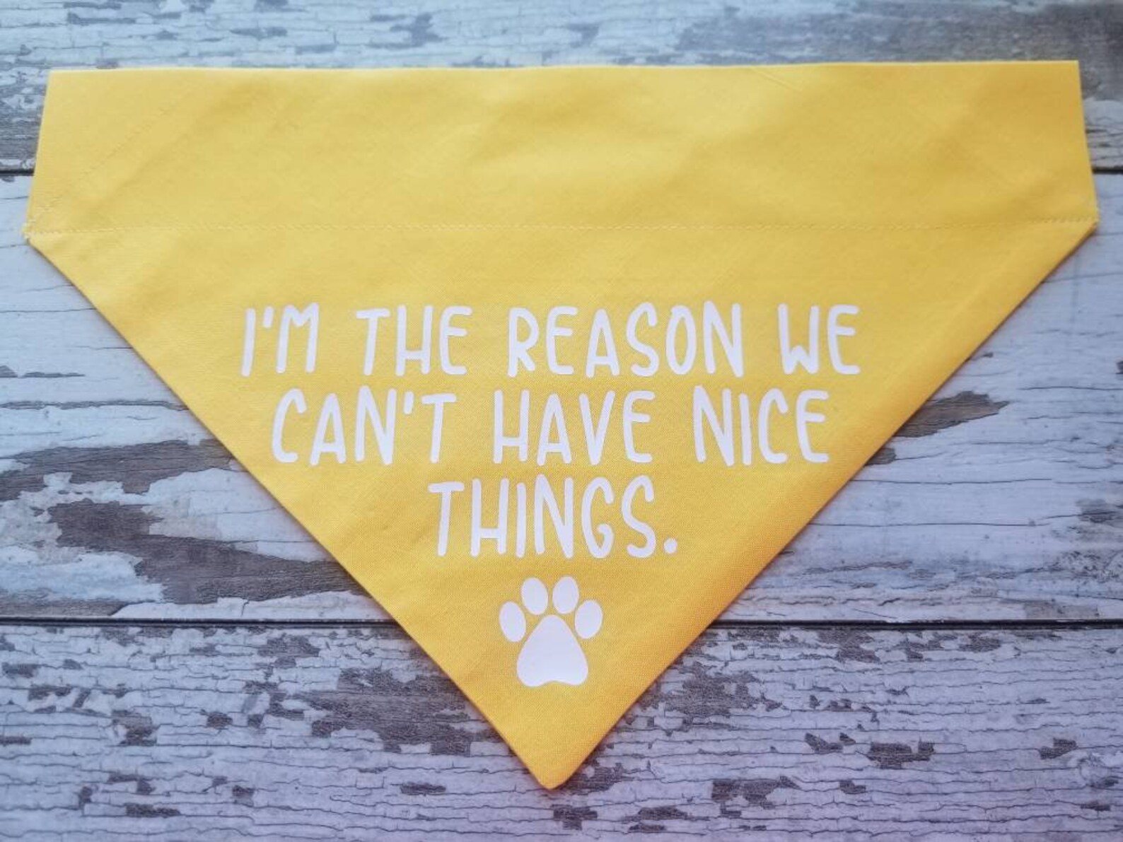 Funny Dog Bandana I'm The Reason We Can't Have Nice Etsy