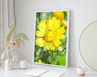 Yellow Daisy Flower Wall Art, Easter Printable Photo, Botanical Print, Flowers Macro Photo, Floral Room Decor, Boho Photo, Nature Home Decor