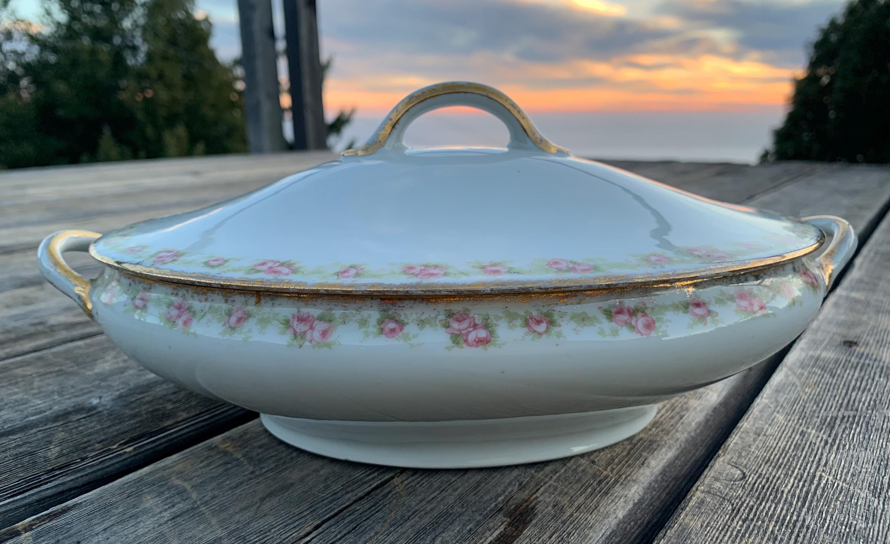 Limoges Haviland China Patterns. Antique Ch Field - Etsy