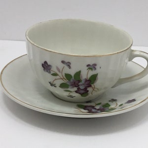 Tea Cup with Saucer, Silver Company National Nasco China