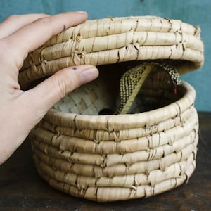 Serpiente de madera vintage en cesta, cobra emergente, encantador de serpientes, serpiente de madera, caja sorpresa, cesta cobra, cesta encantador de serpientes, India,