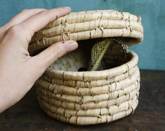 Vintage Wooden Snake in the Basket, Cobra Pop Up, Snake Charmer, Wooden Snake, Jack in the Box, Cobra Basket, Snake Charmer Basket, India,