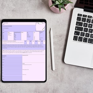 Nurse Practitioner SOAP Note Template (Digital Download)