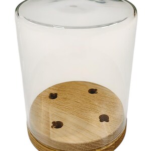 May include: A clear glass cloche with a wooden base. The base has a light brown, circular wooden platform with four small, evenly spaced holes. The cloche is cylindrical and transparent, allowing a clear view of the base.