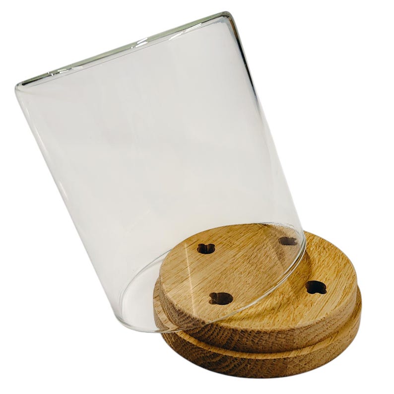 May include: A clear glass cloche with a wooden base. The base is made of two round wooden pieces, with three small holes in the top piece. The glass cloche is tilted, revealing the wooden base.
