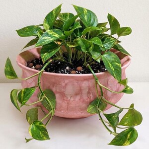 Handmade ceramic cachepot. Modern cachepot, designer cachepot, and plant cachepot. Decorative ceramics | Bolle Ceramiche