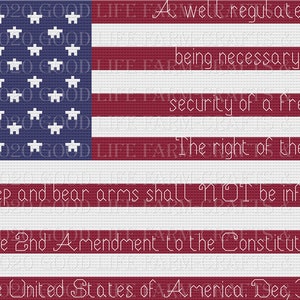 2nd Amendment American Flag Cross Stitch Pattern-PDF File