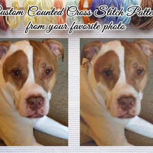 Custom Counted Cross Stitch Pattern from your favorite photo-Digital PDF File-Pattern Keeper compatible PDF file available upon request
