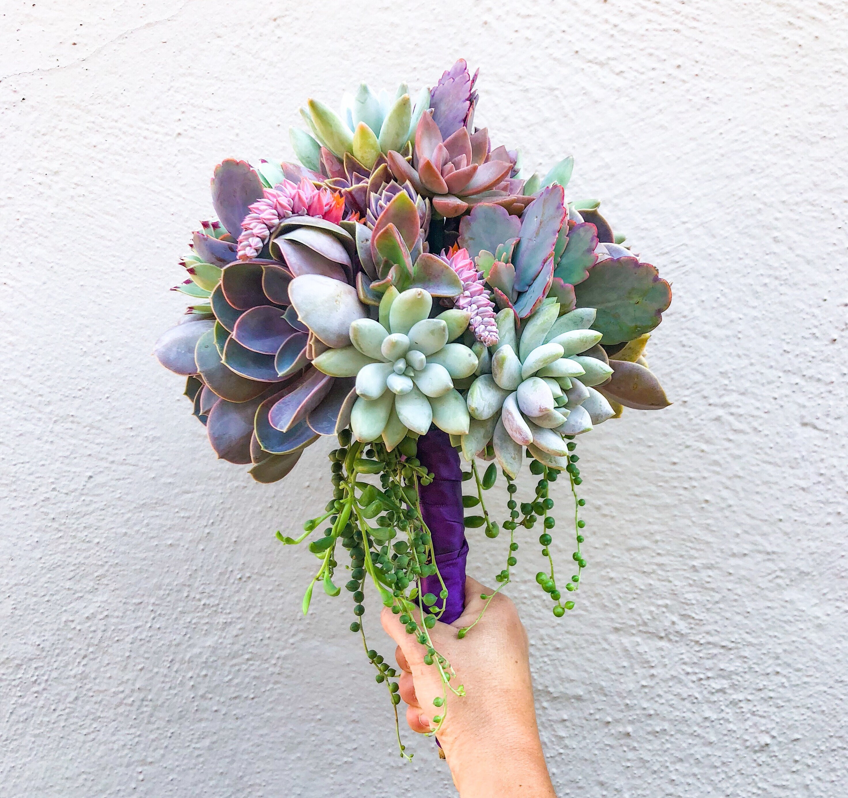 Succulent Bridal Bouquet Wedding Bouquet Succulent Flowers Etsy