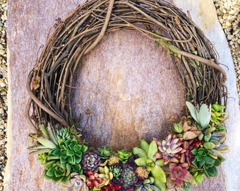 Succulent wreath Holiday wreath Grapevine Wreath 12 inch wreath