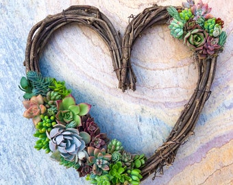 Heart-Shaped Succulent Wreath Grapevine