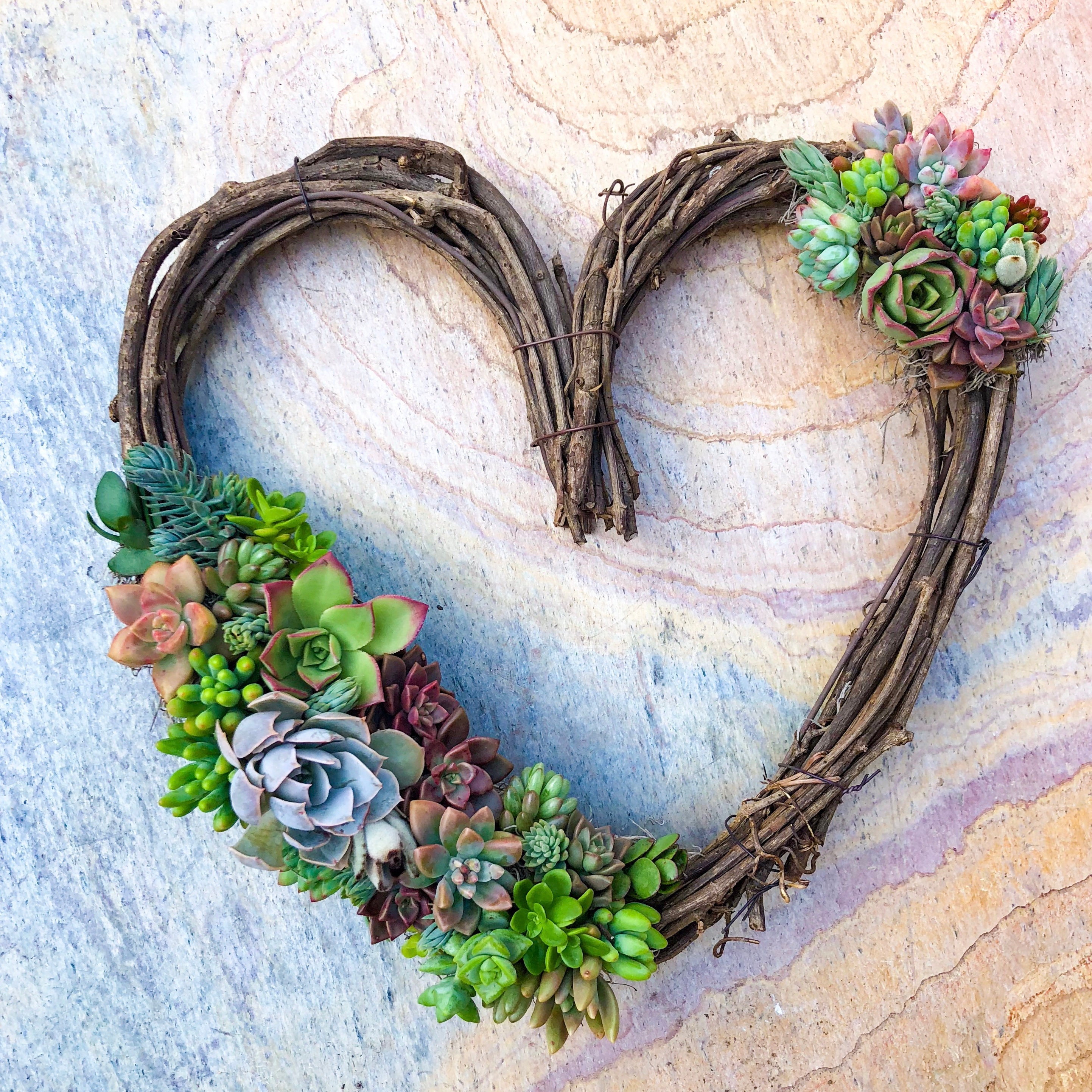 Heartshaped Succulent Wreath Grapevine Etsy