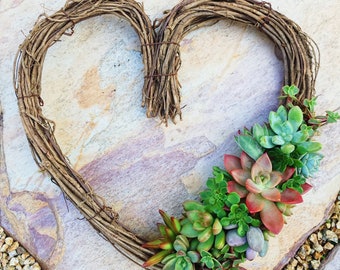 Heart-Shaped Succulent Wreath Grapevine