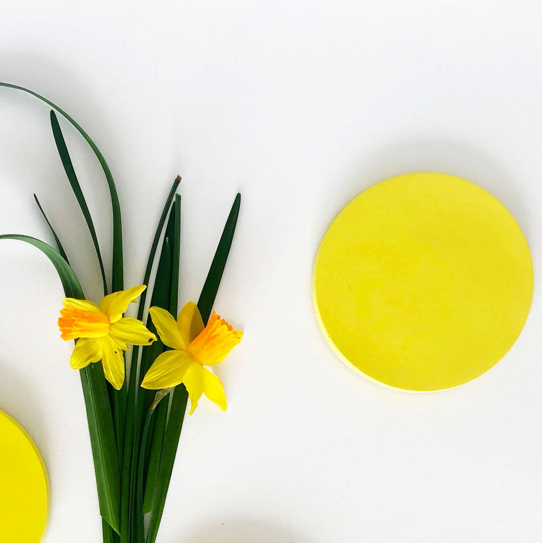 Bold Coasters | Made From Jesmonite | Marble Pattern - Etsy UK