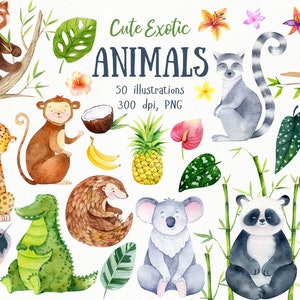 Jungle animales clipart, Sloth Clip art, Ilustración De Safari, Mono png, Vivero lindo animal, Animales bebé, Panda, Koala, Babyshower Jungle